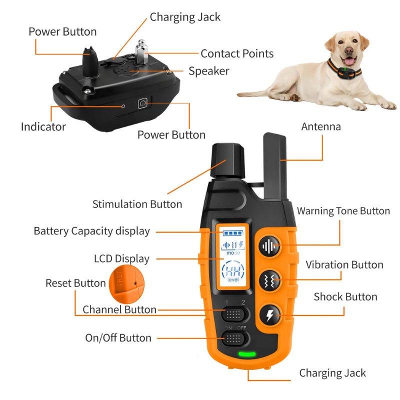 Dog Training Collar – Waterproof with Remote Shock & Vibration