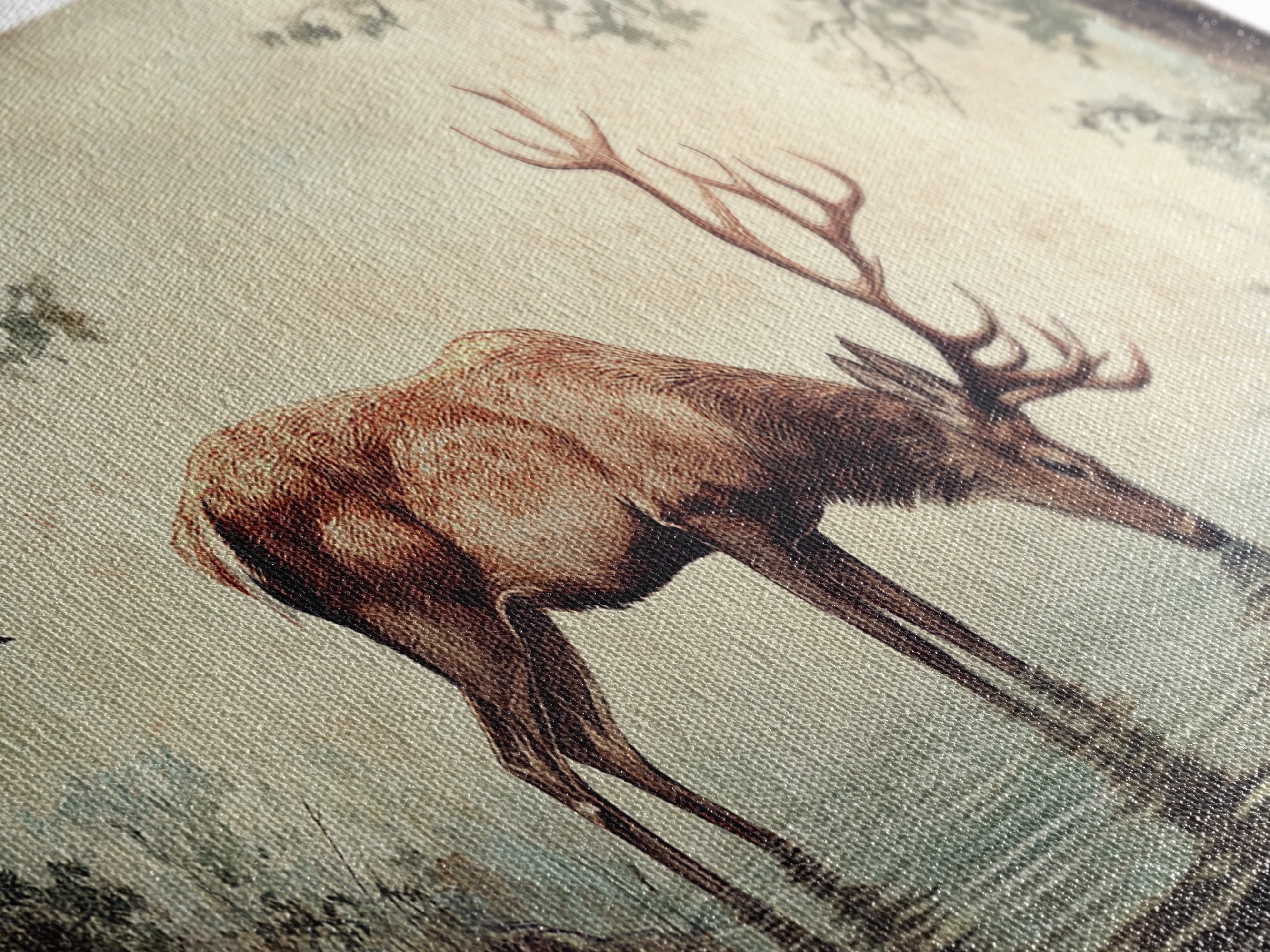 Elk Drinking Water In The Forest, Framed Canvas Print, Nature Art, Rustic Cabin Decor, Modern Farmhouse Wall Art