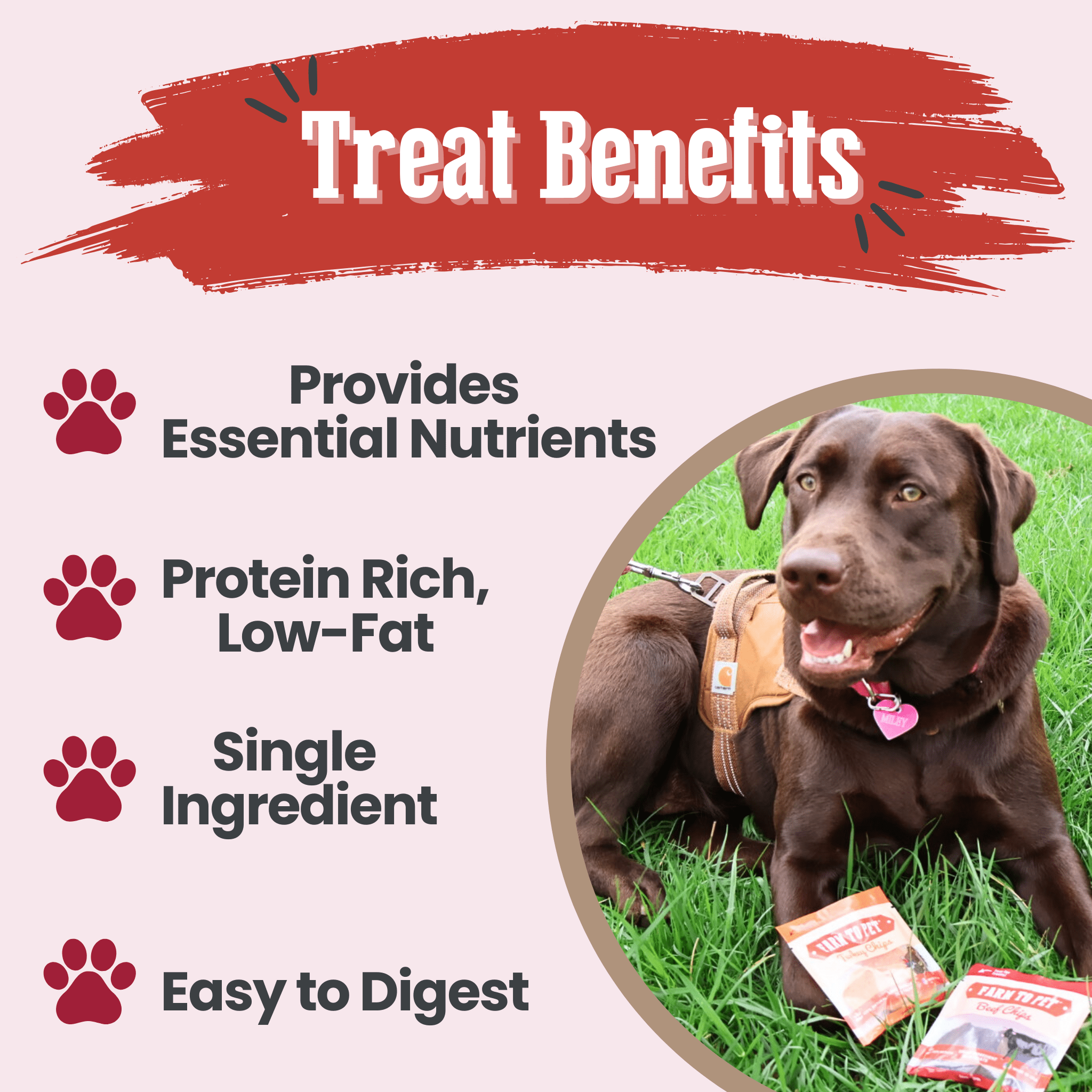Puppy Packs 'n Snacks Dog Treat Starter Pack | Single-Ingredient Training Treats