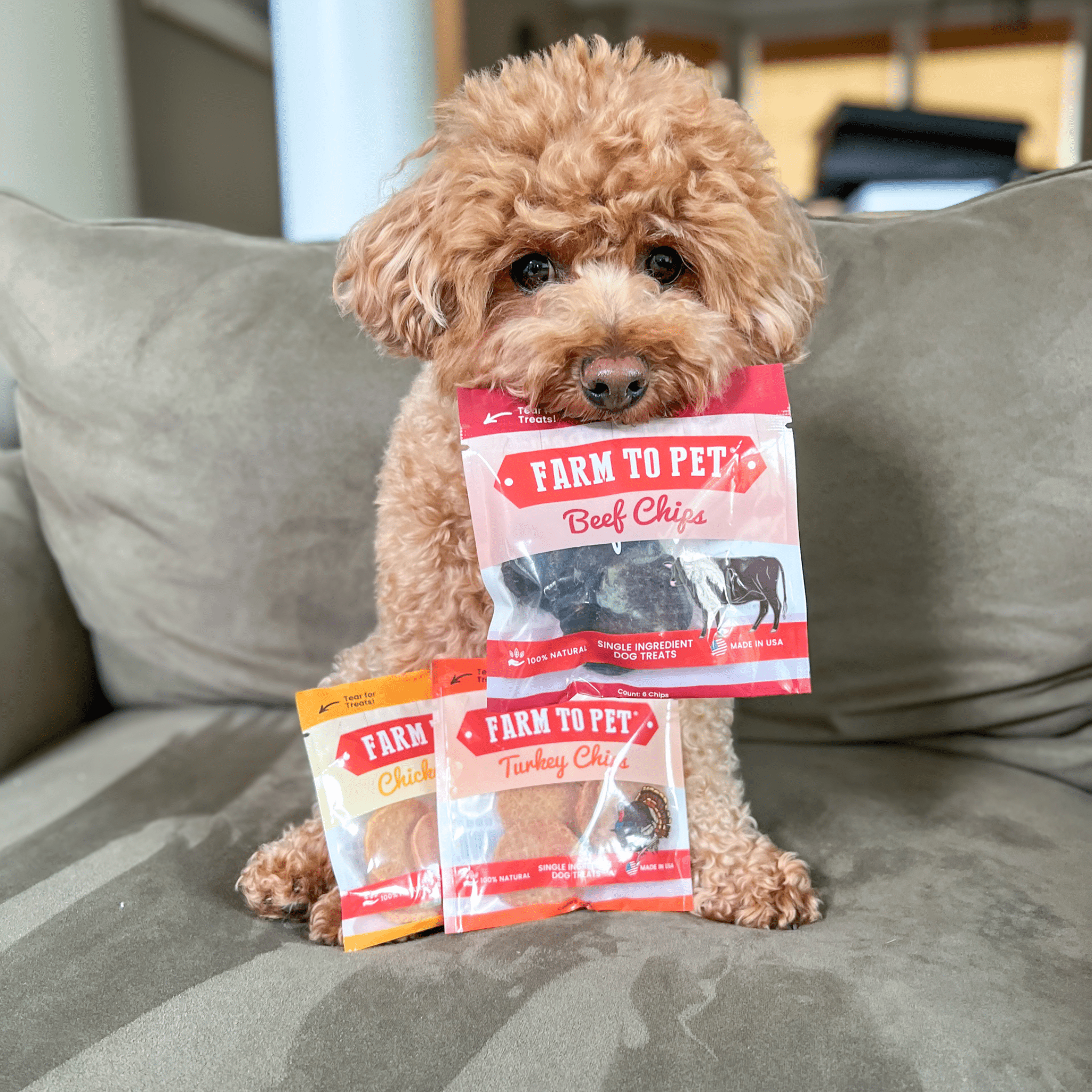 Puppy Packs 'n Snacks Dog Treat Starter Pack | Single-Ingredient Training Treats